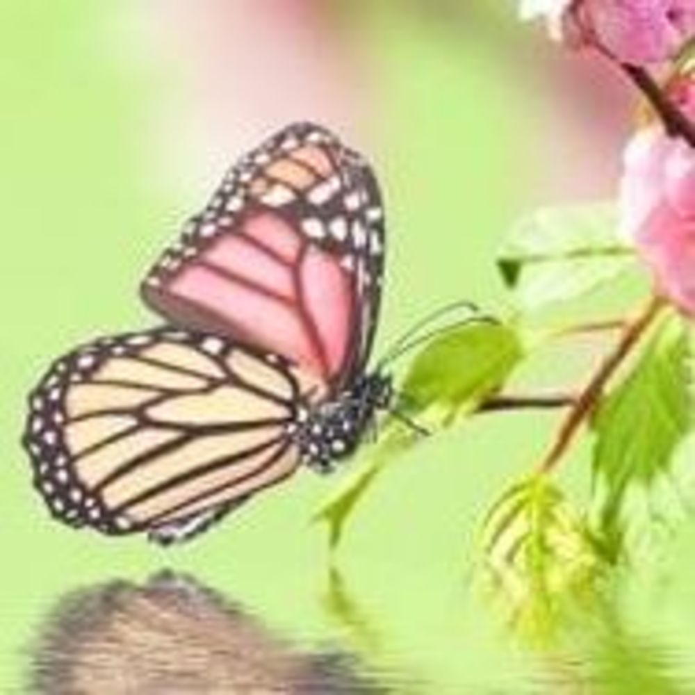 Meet your Posher, Patricia